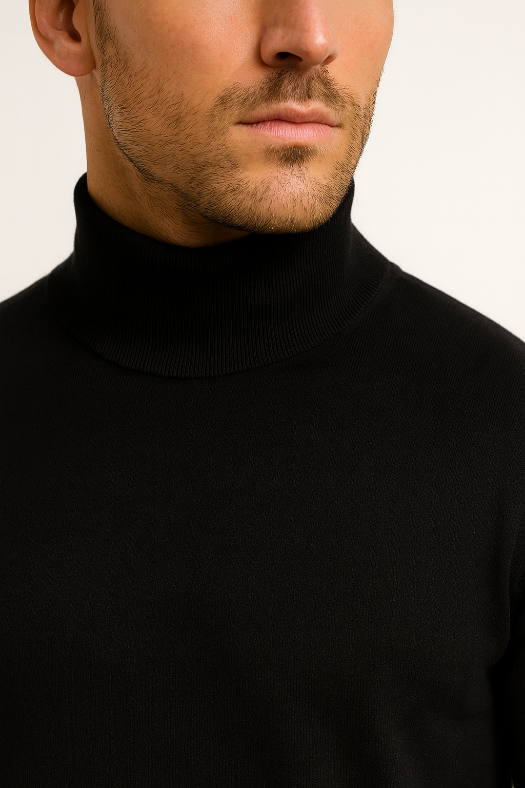 Turtle Neck FS